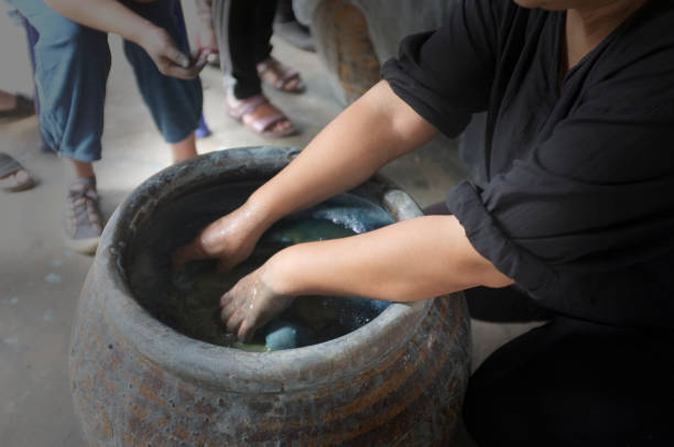 istock The process of indigo. Remove Indigo tree from the water. To use  Indigo cake 975711632