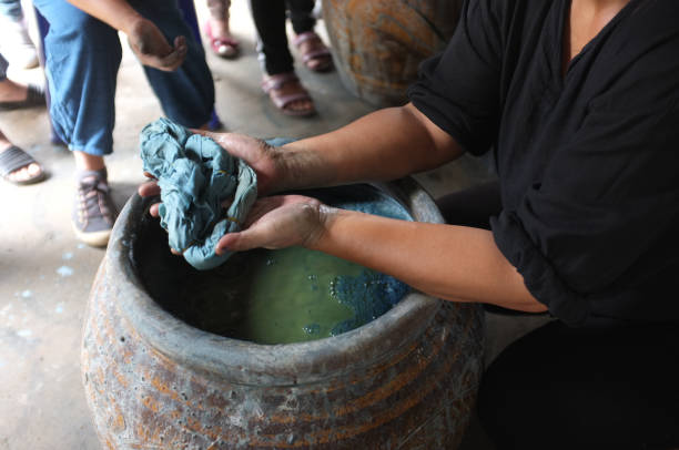 istock The process of indigo. Remove Indigo tree from the water. To use  Indigo cake 975712068