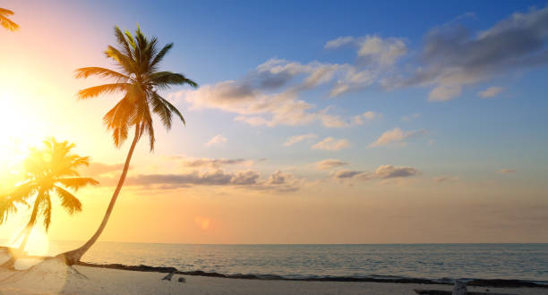 istock Art Beautiful sunset over the tropical beach 975712396