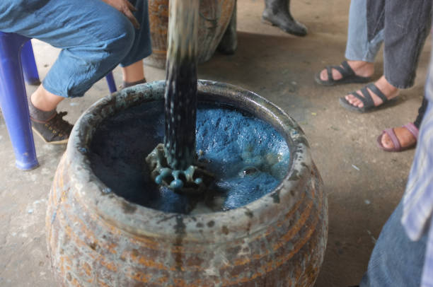 istock The process of indigo. Remove Indigo tree from the water. To use  Indigo cake 975713632