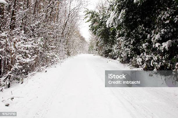 Winter Stock Photo - Download Image Now - Color Image, Falling, Horizontal