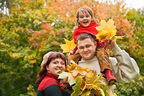 Married couple and little girl collect maple leafs stock photo