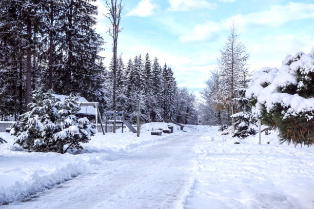 istock Children's playground covered with snow in winter 975720566