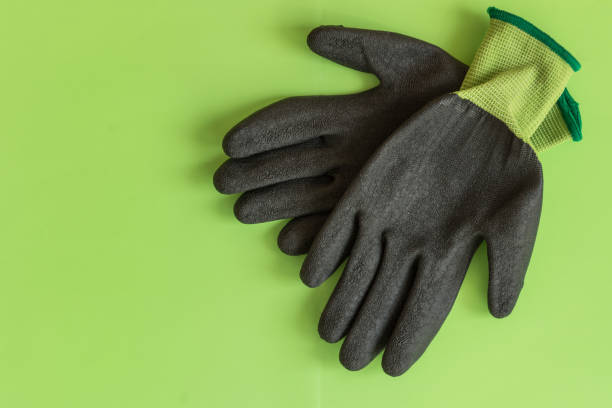 istock Rubber gloves for garden working on pastel color background top view. 975736716