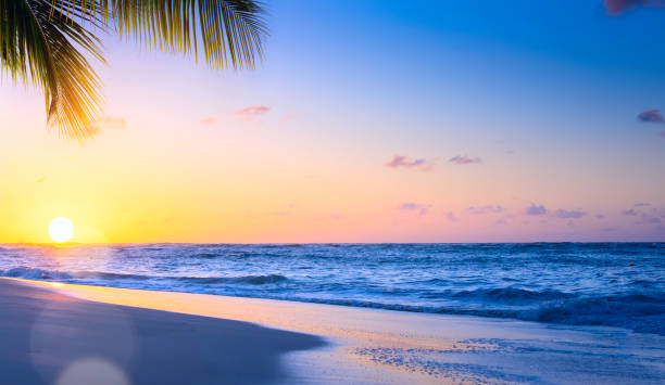 istock Art Beautiful sunset over the tropical beach 975747448
