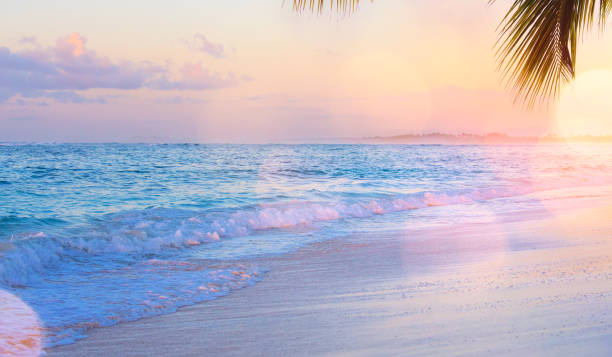 istock Art Summer vacation drims; Beautiful sunset over the tropical beach 975748094