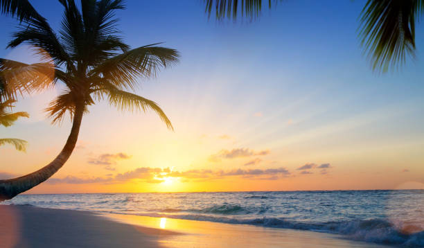 istock Art Summer vacation drims; Beautiful sunset over the tropical beach 975748150