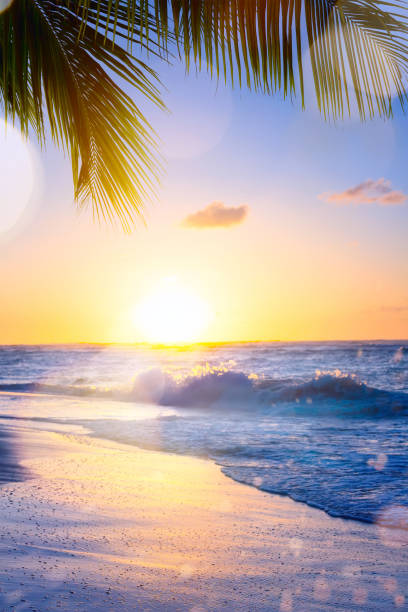istock Art summer vacation drims; Beautiful sunset over the tropical beach 975748158