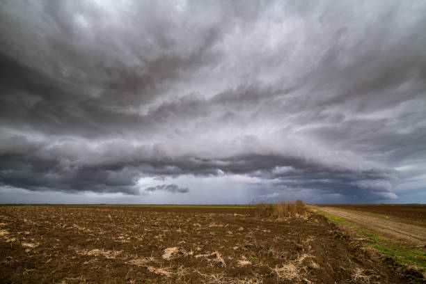 istock Agricultural landscape, arable crop field. 975770252