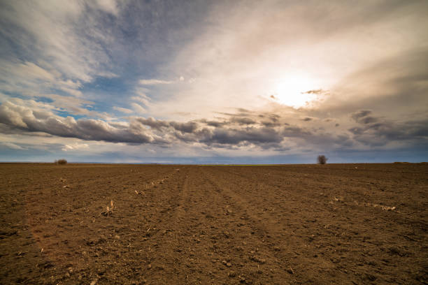 istock Agricultural landscape, arable crop field. 975770772
