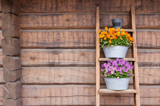istock Flowers on ladder shelf lean to wall 975774968