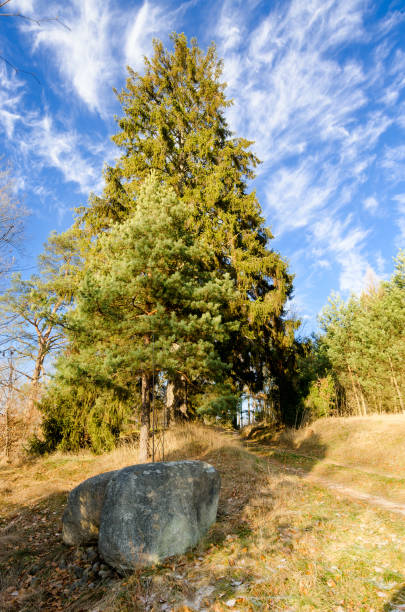 erratic boulder on the side of the road, borzyszkowy village - pomorskie province imagens e fotografias de stock