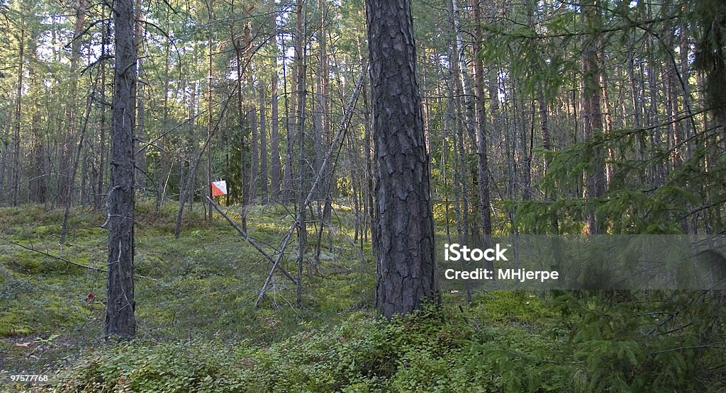 Lone orientación de Control - Foto de stock de Aire libre libre de derechos