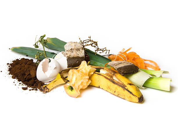 kompost - rotting banana vegetable fruit stock-fotos und bilder
