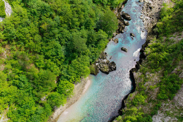 istock Blue Piva River in Montenegro 975783666