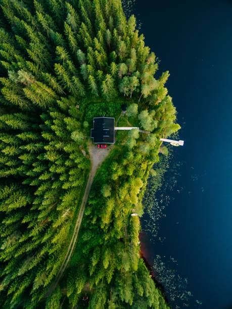 aerial view of wooden cottage in green forest by the blue lake in rural summer finland - finland sauna lake house imagens e fotografias de stock