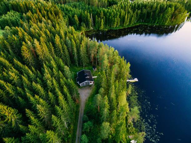 aerial view of wooden cottage in green forest by the blue lake in rural summer finland - fishing hut imagens e fotografias de stock