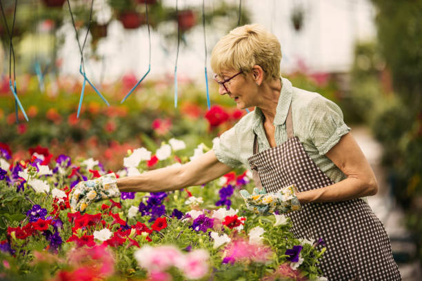istock Senior woman gardener 975792654