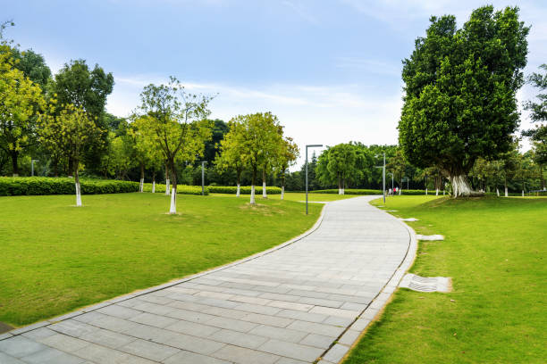 каменный путь в пышном зеленом парке - scenics pedestrian walkway footpath bench стоковые фото и изображения