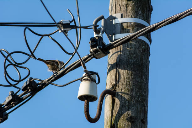 istock Cup of electric pole 975796248