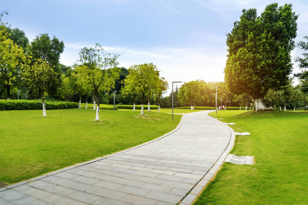 istock Stone Pathway in a Lush Green Park 975796698
