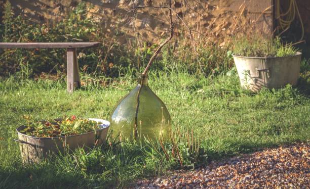 istock pots and vases on a farm 975798556