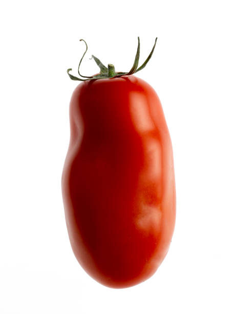 白い背景の上のサン マルツァーノ赤いトマト - san marzano tomato ストックフォトと画像
