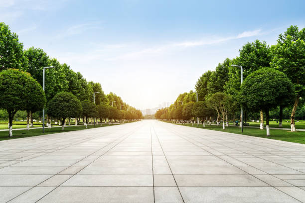 istock An empty floor in a city park 975811386
