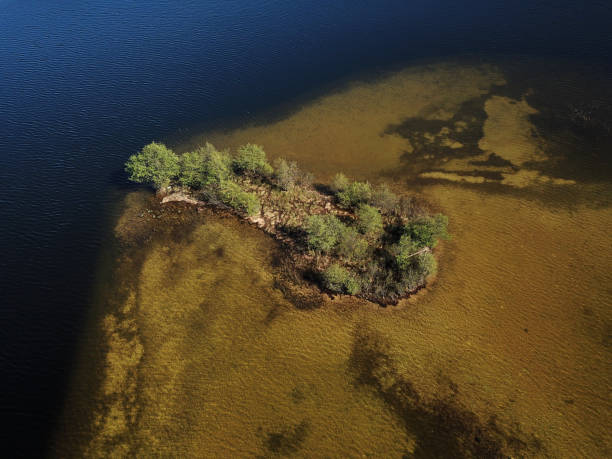 istock Island in lake 975812642