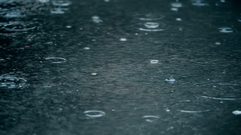 Free Rain Stock Video Footage 21637 Downloads Free Rain Stock Video Footage 21637 Downloads