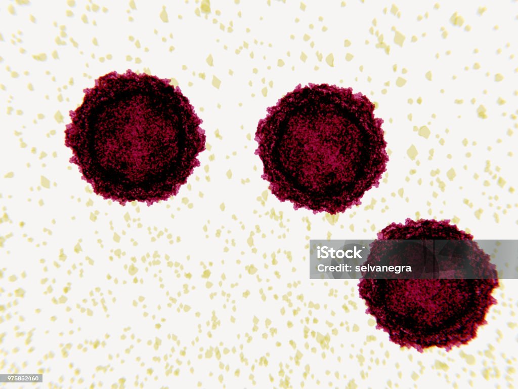 Polioviruses, electron microscope-like depiction Poliovirus causes poliomyelitis. Poliovirus is a simple virus composed of RNA and a protein capsid. It has a diameter of 30 nm. Infection occurs in the  digestive tract. Polio Stock Photo