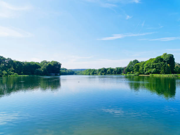 istock Rippled waters of a tree lined lake. 975861854