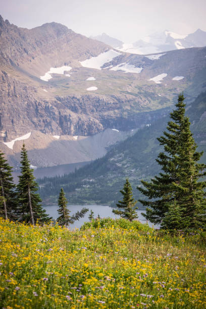 istock A breathtaking view at Glacier National Park 975878296