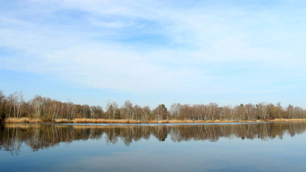 rive du lac brown forest bleu ciel 1 - autumn sky nobody lake photos et images de collection