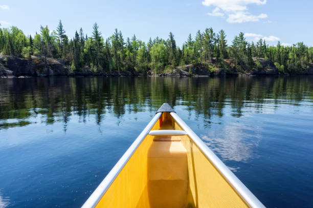 proa de la canoa en un lago de minnesota - canoeing canoe minnesota lake fotografías e imágenes de stock