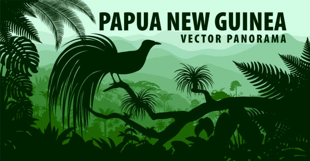 vector panorama of Papua New Guinea with lesser bird of paradise vector panorama of Papua New Guinea with lesser bird of paradise paradisaeidae stock illustrations