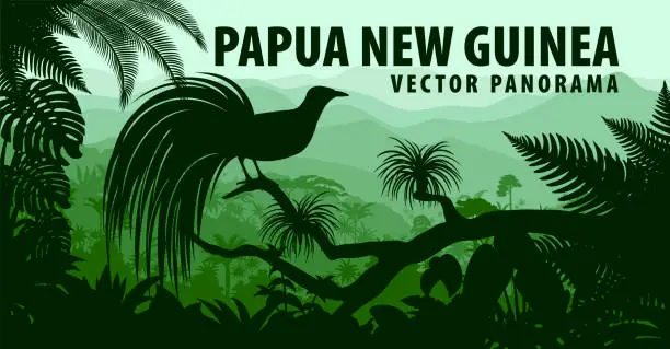 Vector illustration of vector panorama of Papua New Guinea with lesser bird of paradise