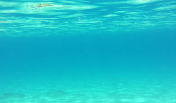 istock Sea or ocean bottom or depths 975964794
