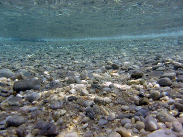 istock Sea or ocean bottom or depths 975971826