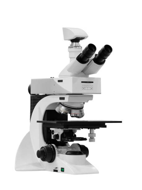 istock The microscope is used to control chip isolated on white background 975979406