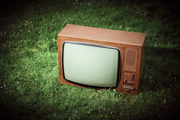 istock Old retro TV in the grass 975981494