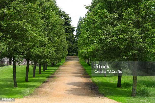 Die Avenue Stockfoto und mehr Bilder von Baum - Baum, Einspurige Straße, Farbbild