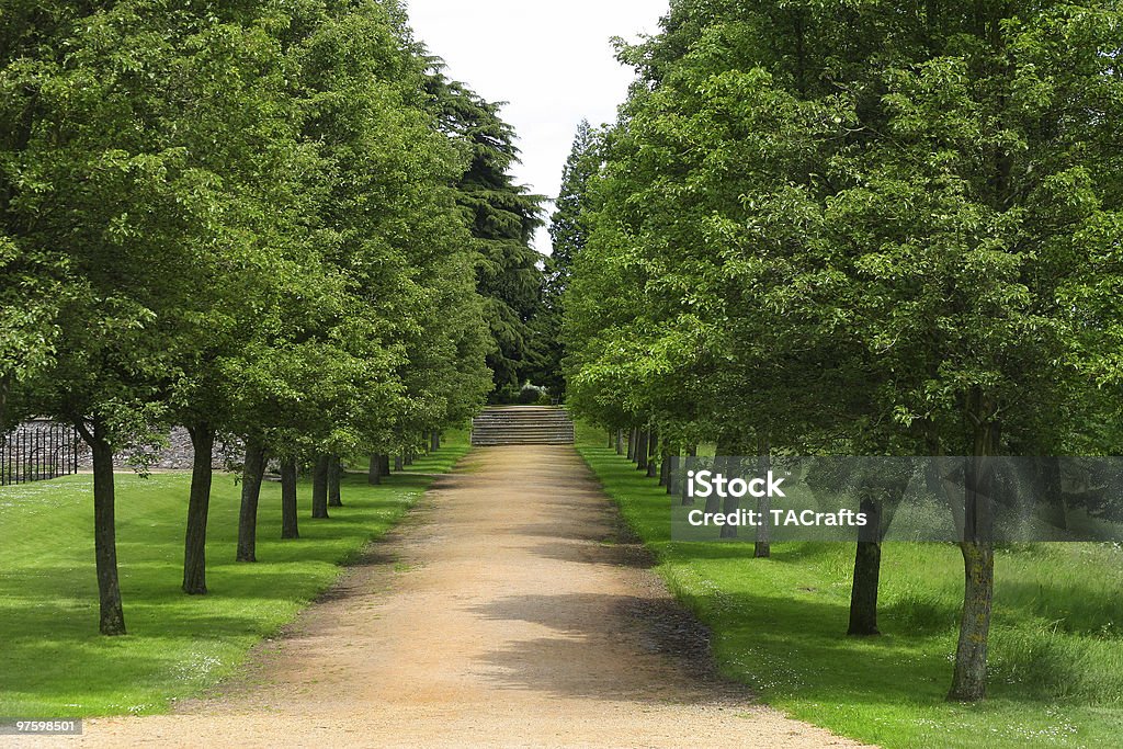 A avenue - Foto de stock de Avenida royalty-free