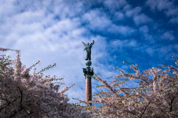 istock Cherry Blossom Festival 975986378
