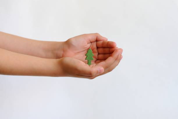 istock Child holding a tree at her hands on a white background. Concept conservation of the environment, environmental protection. 975988992