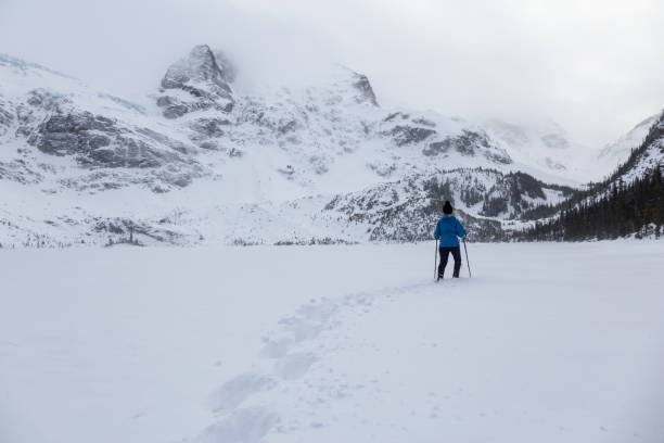 istock Snowshoeing Joffre Lakes 976017262