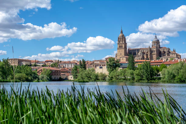 istock Cathedrals of Salamanca 976019034