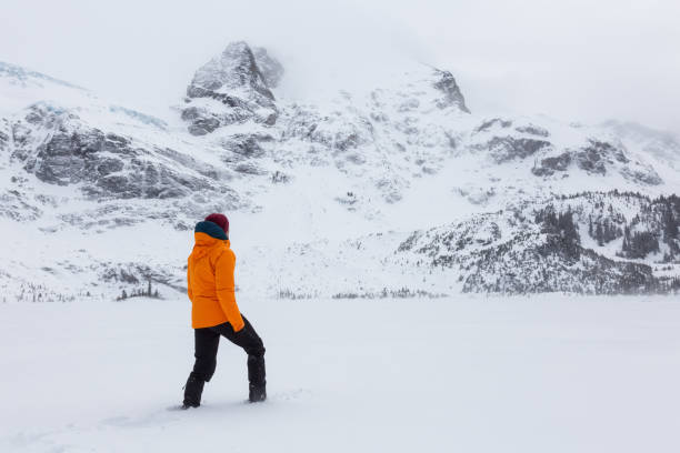 istock Hiking Joffre Lakes 976019272