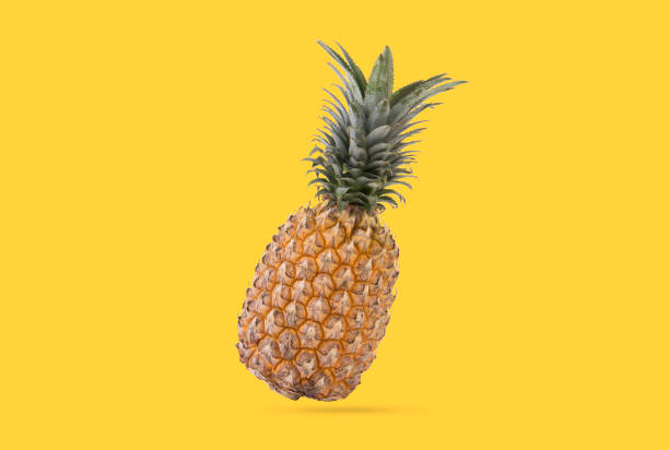 istock Creative Ripe pineapple on yellow background. fruit for tropical. 976033740