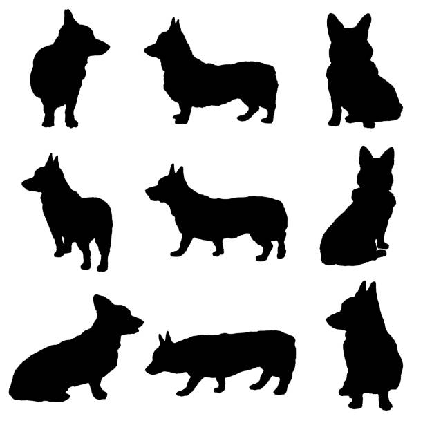 ilustraciones, imágenes clip art, dibujos animados e iconos de stock de vector silueta de un perro corgi galés - dog sitting